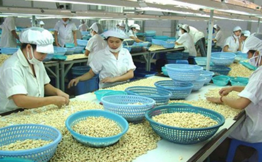 Xuất khẩu vào thị trường Vương quốc Anh